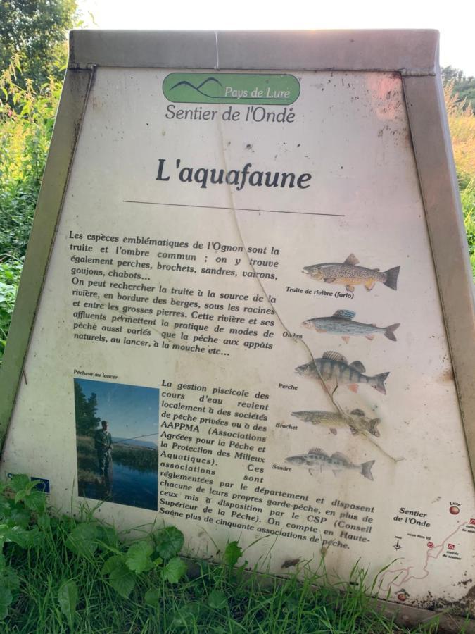 Les Jardins D'Elise, Calme Et Verdure A Lure Lure  Exterior foto